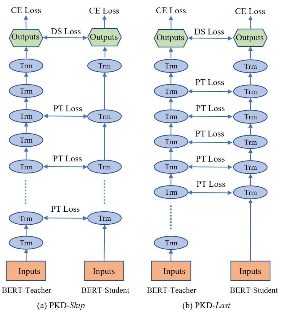 parameter counts