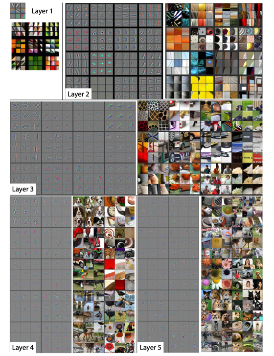 feature_map_visualization